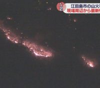 焼失面積13ヘクタール：江田島の山火事の詳細レポート