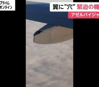 【社会】韓国でのバードストライク：事故の詳細と航空安全への影響