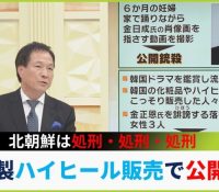 【韓国】共に民主党！！！北朝鮮化を加速させる⁉⁉⁉