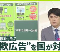 【社会】総務省が提唱するデマ対策、主要企業の役割と今後の展望