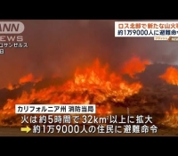 Thumbnail of post image 175