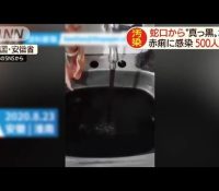 【ふるさと】賄賂体質中国共産党！！！エモい記憶が蘇るｗｗｗｗｗ