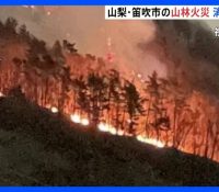 山梨の山火事：35ヘクタール焼失の脅威と復旧の道筋