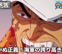 【徹底議論】『ワンピース』キャラの強さランキング！賛否まとめ！