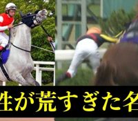 暴れ馬が引き起こした悲劇：騎手の命を奪った園田競馬場の事故