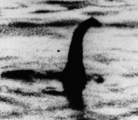 Thumbnail of post image 149