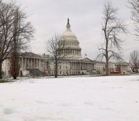 Thumbnail of post image 122