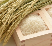 Thumbnail of post image 055