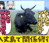 Thumbnail of post image 123