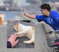 Thumbnail of post image 161