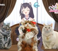 Thumbnail of post image 161