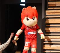 ロアッソ熊本、マスコットのロアッソくんから今夜“重大発表”があると予告