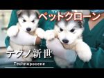 【中国】愛犬をクローンで復活させ同じペットを再び飼う「ペットクローン」流行中