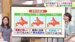 【猛暑】北海道道東が熱中症の危機やんけ!40度ってマジか!?