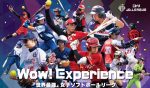 女子ソフトボールリーグ”年間観客動員数100万人を目指す” 2032年までに大台到達を目標