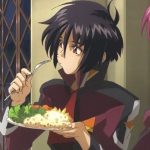 【ガンダムSEED】正直性的な目で見てる